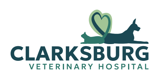 Clarksburg Veterinary Hospital logo
