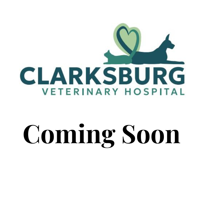coming soon logo
