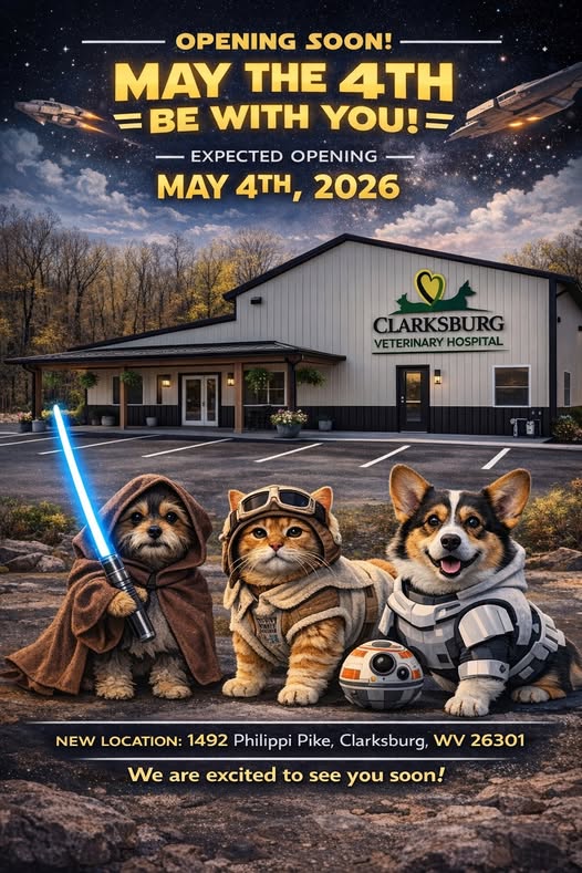 a person sitting at a desk talking on the phone